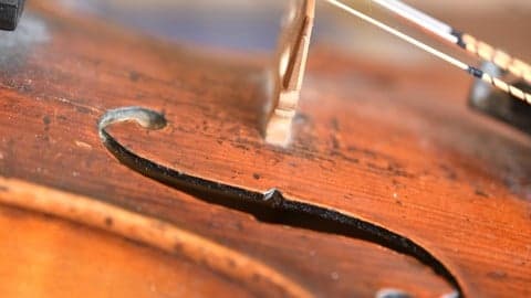 VIOLÍN: elección, accesorios, cuidados y mantenimiento