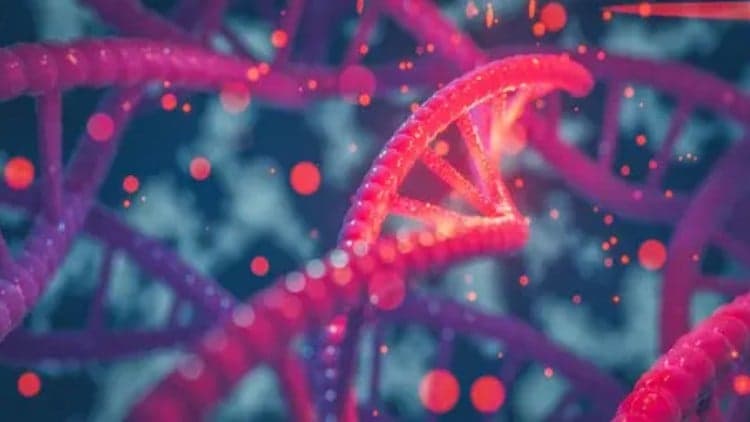 Secrets of DNA and Its Manipulation