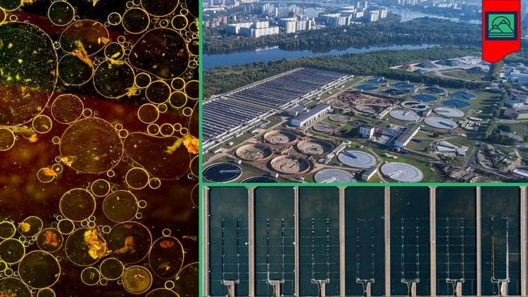 Sanitation & Wastewater Treatment Explained