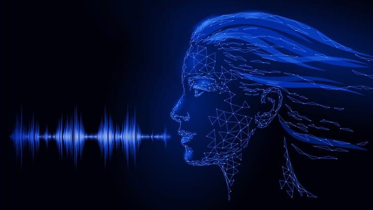 Natural Language Processing NLP Practice Tests - Basic/Adv