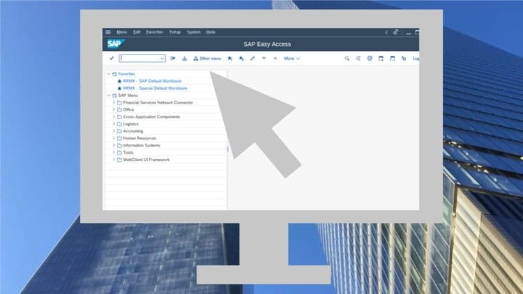 SAP Basics : Introduction and Navigation