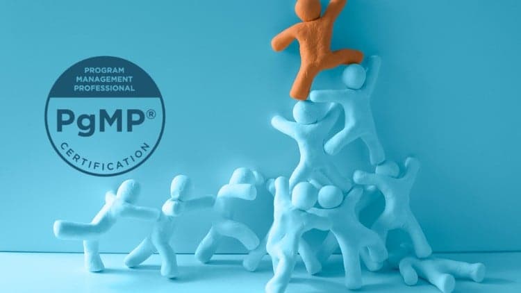 Program Management Professional  Practice Exam 2024