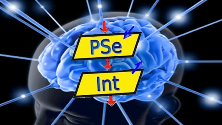 Introducción a la programación con Pseint - Algoritmos
