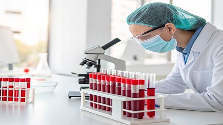 hematology theory and practice for medical students