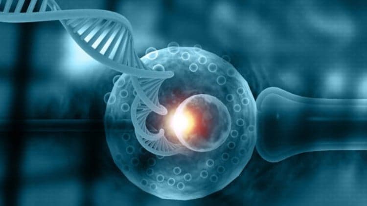 Clinical Embryology Techniques