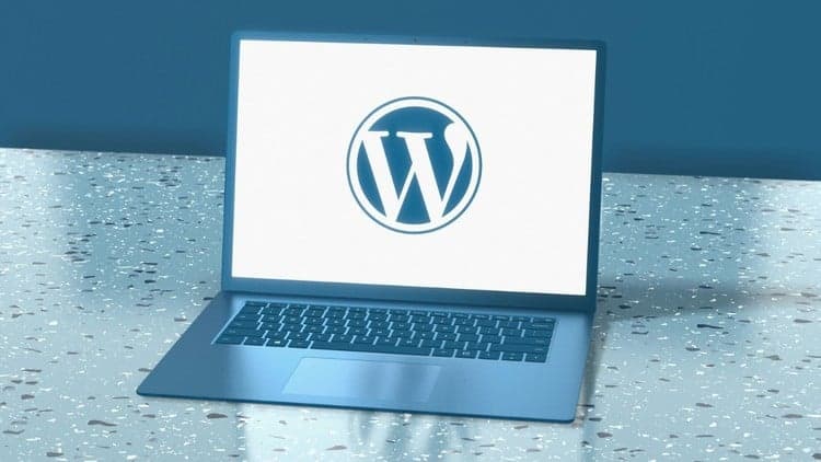 WordPress for Everyone: Learn, Build, Launch and Earn