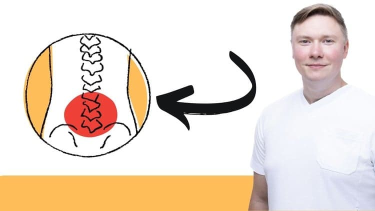 Die Bandscheibe verstehen - Werde dein Bandscheibencoach